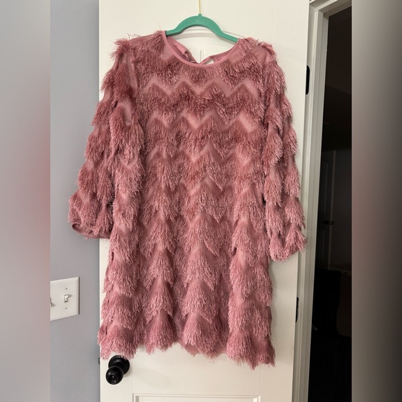 Hutch Fringe Chevron Dress - Picture 3 of 5